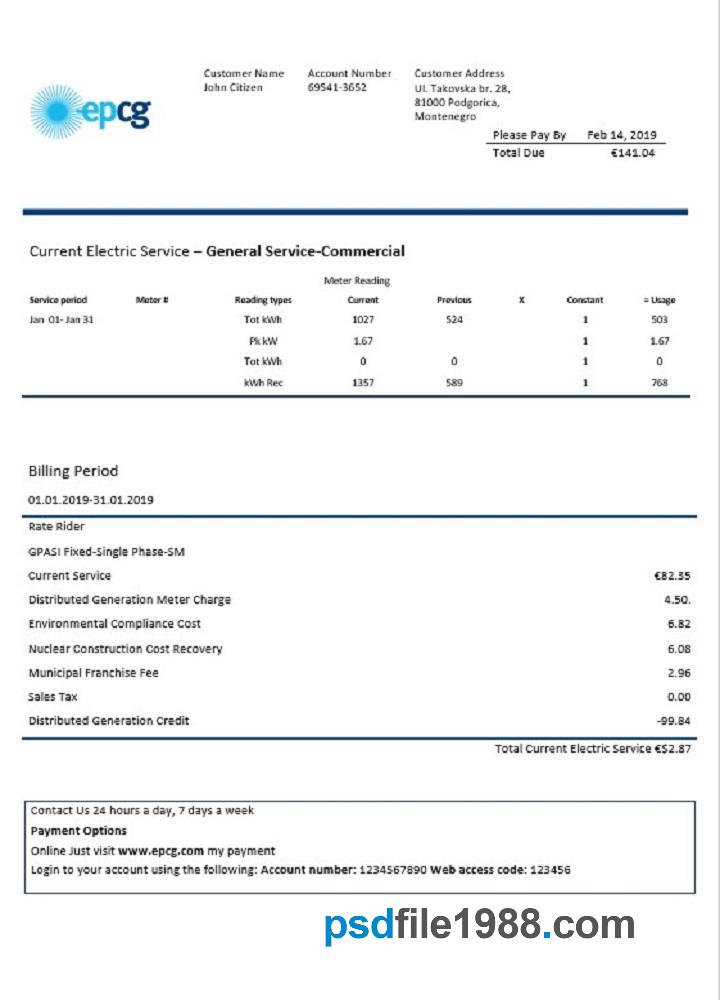 Montenegro Elektroprivreda Crne Gore EPCG Electricity Utility Bill